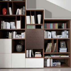 BLACK WALNUT libraries