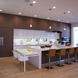 European kitchen cabinets