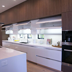 Contemporary kitchen cabinets