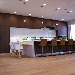 Modern European kitchen cabinets