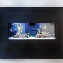 custom design kitchen